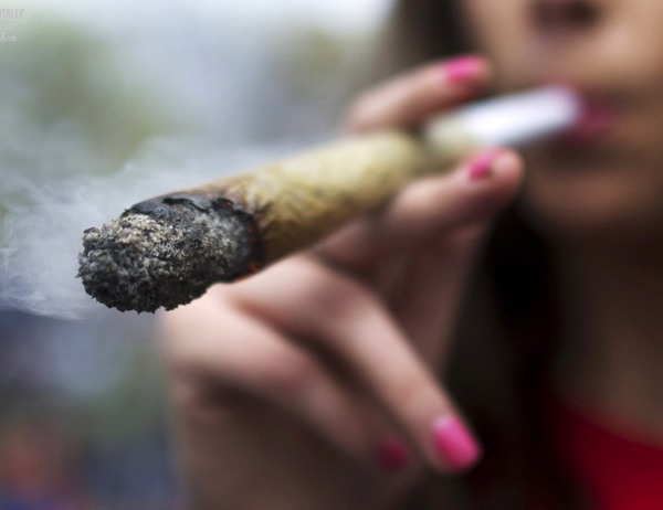 Каннабиоиды dqxikeidqxiqqeant