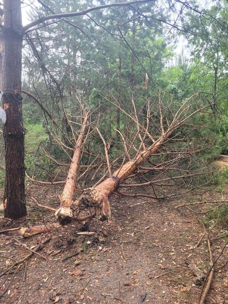 Черниговщина обстреляна из 120-мм и 152-мм миномета с территории РФ, - ОК Північ 05