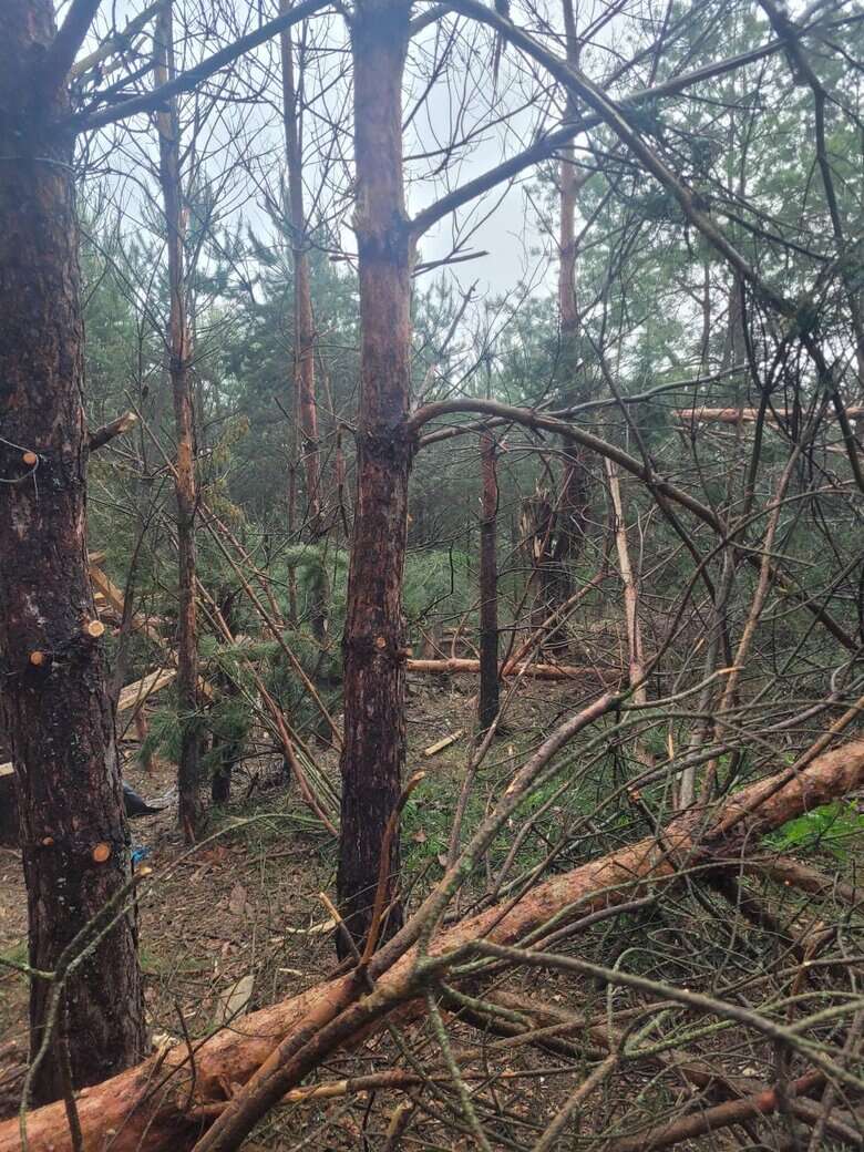 Черниговщина обстреляна из 120-мм и 152-мм миномета с территории РФ, - ОК Північ 06