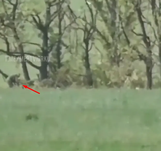 Российский оккупант за мгновение до встречи с пулей украинского снайпера dqxikeidqxiqqeant