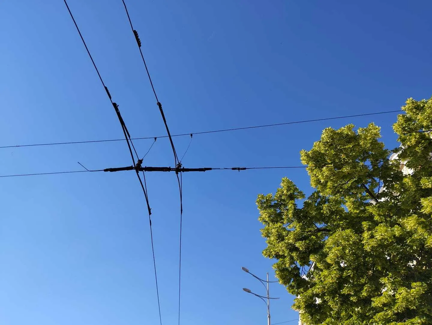 ’’Слава Україні!’’ Жадан растрогал сеть историей о велосипедисте в Харькове dqxikeidqxitkant