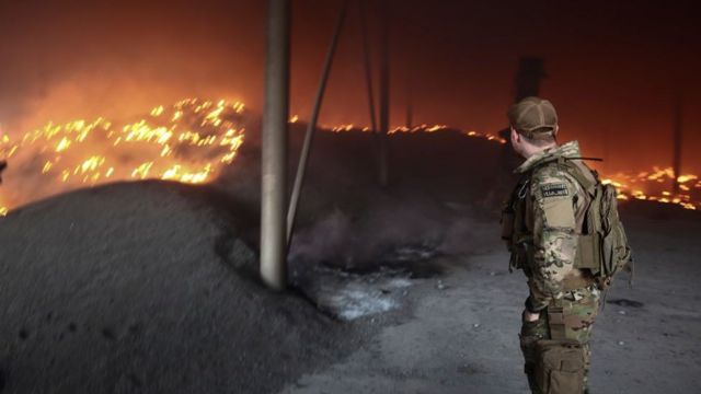 Урожай подсолнечника на донецкой ферме после обстрела dqxikeidqxiqqeant