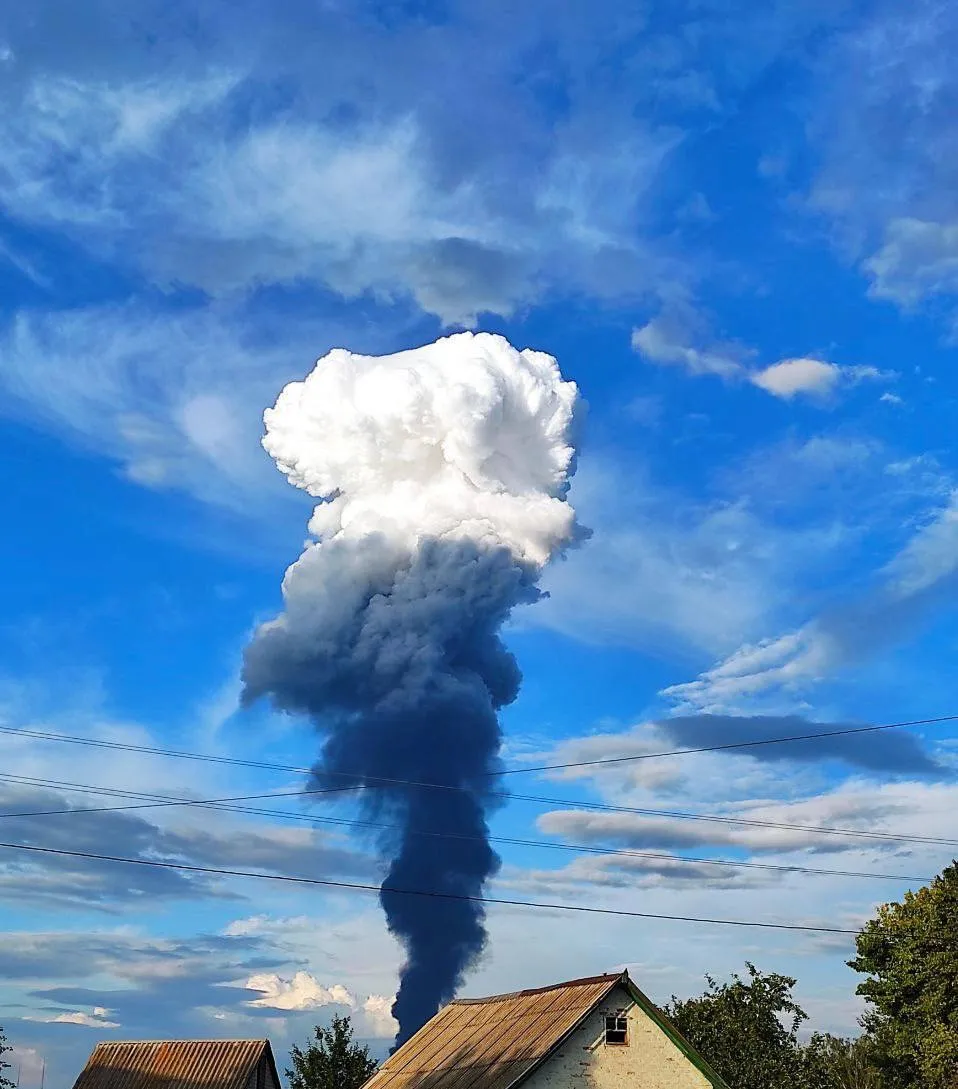 В сети появляется все больше фото.