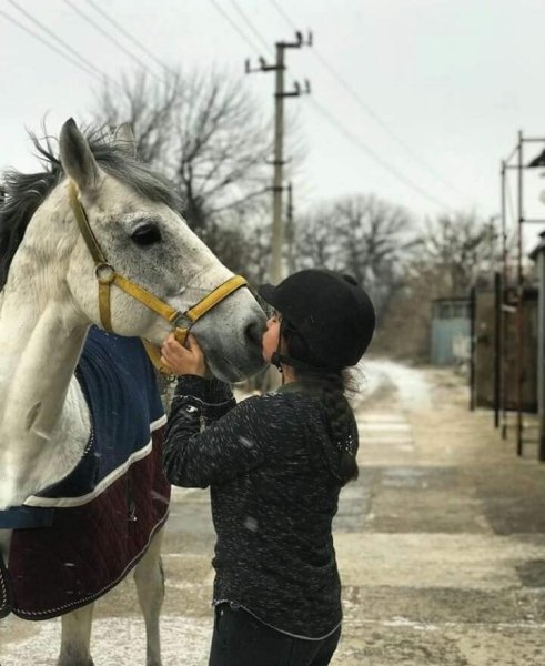 КСК "Виртуоз" разрушен dqxikeidqxiqqeant