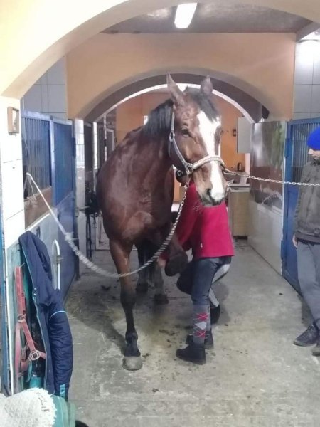 КСК "Виртуоз" разрушен