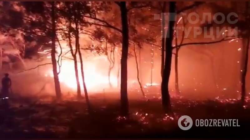 В районе курортного турецкого города Мармарис вспыхнул лесной пожар dqxikeidqxitkant
