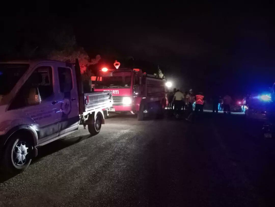 В районе курортного турецкого города Мармарис вспыхнул лесной пожар