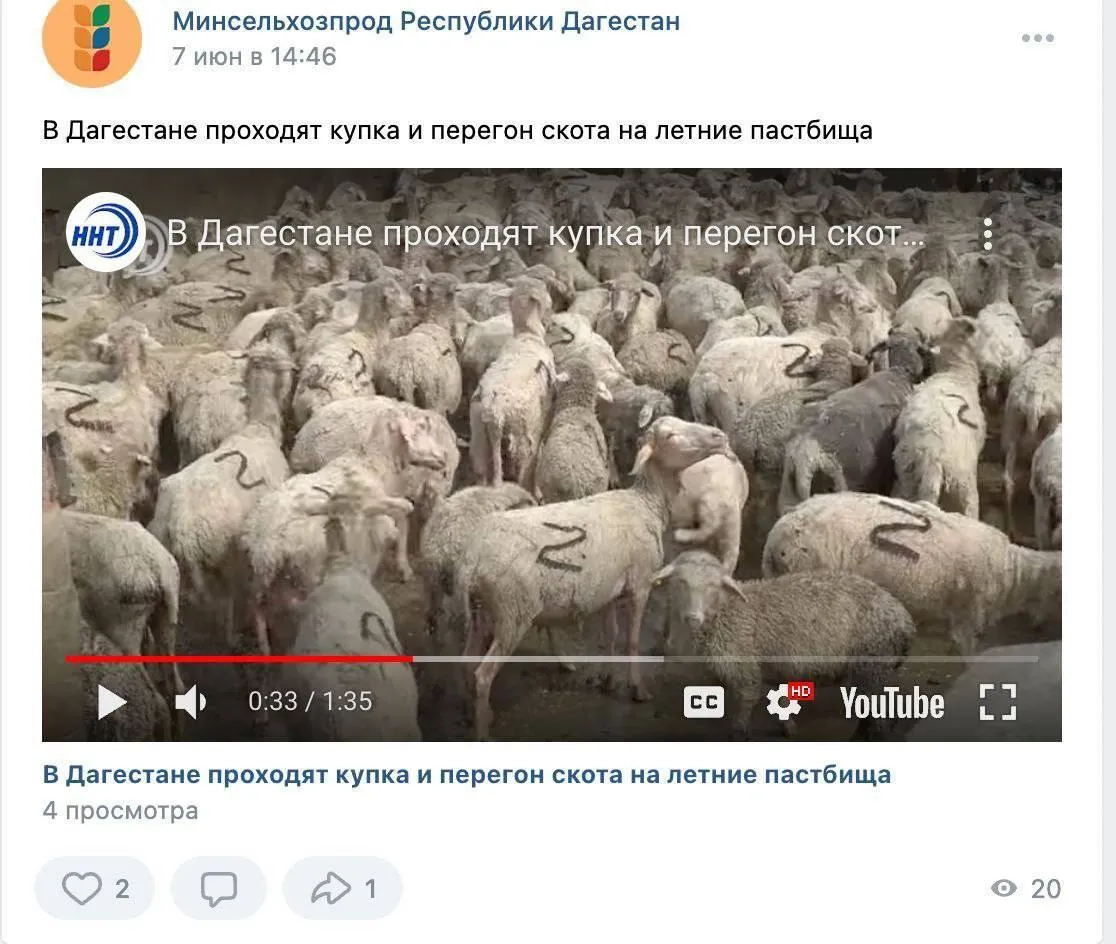 Скриншот dqxikeidqxiqqeant