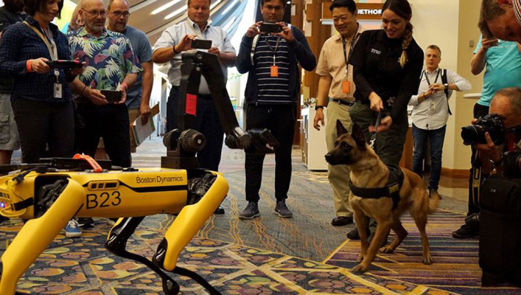 Робот-собака Spot робопес разминирование саперы США Украина мины Boston Dynamics dqxikeidqxitkant