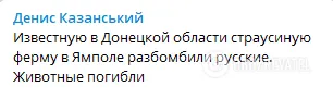 Оккупанты разбомбили страусиную ферму в Ямполе на Донетчине dqxikeidqxitkant