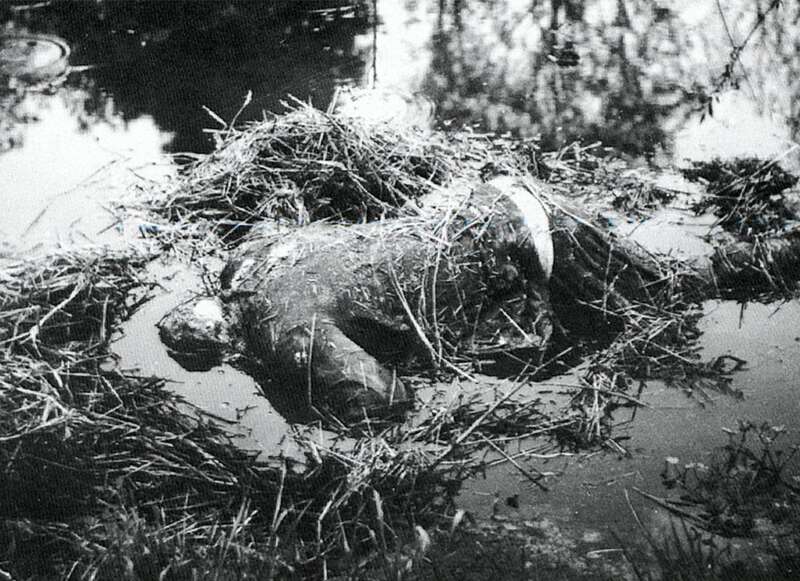 2.jpg dqxikeidqxitkant