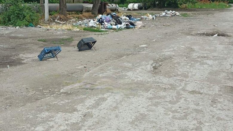 Мариупольцы охотятся на голубей, чтобы не умереть от голода, - СМИ 01 dqxikeidqxitkant