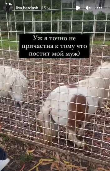   ,        dqxikeidqxiqqeant