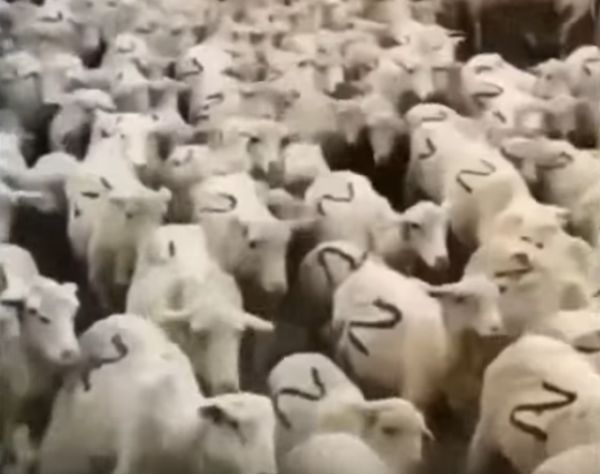 Война проиграна и виновником Катастрофы является Путин dqxikeidqxitkant