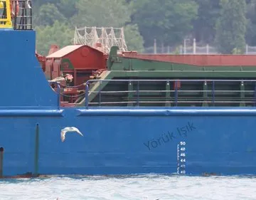 Сухогруз SV Konstantin вывозил украденное зерно