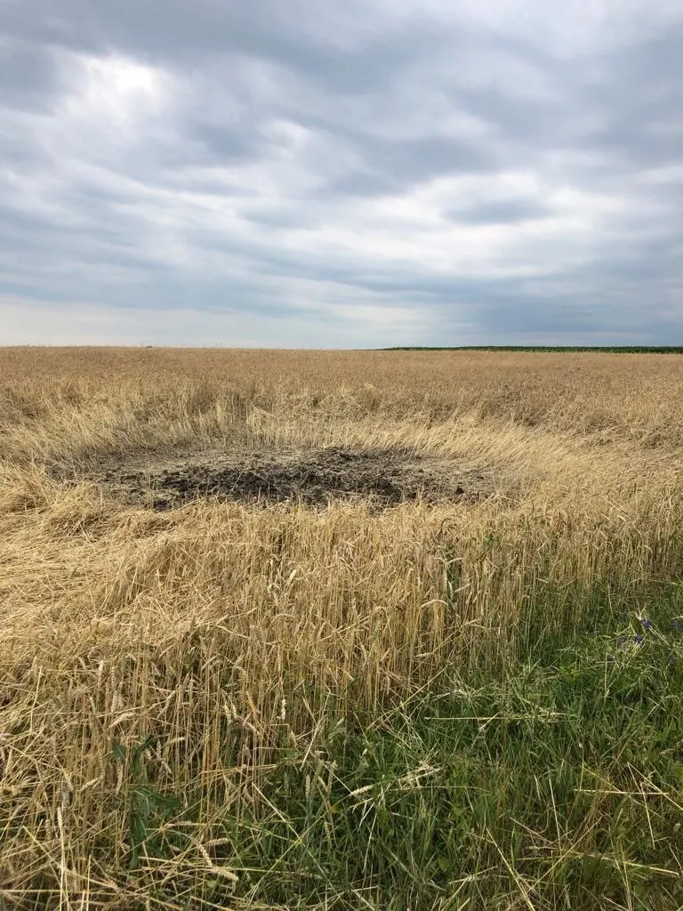  15      . dqxikeidqxitkant