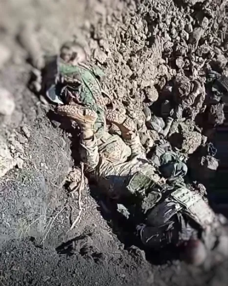 Ликвидированные украинскими воинами наемники dqxikeidqxiqqeant