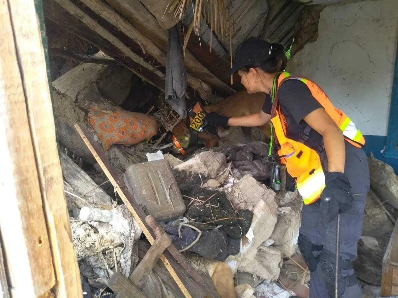 Дитину шукали із собаками