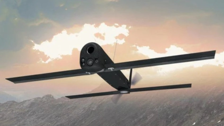 Phoenix Ghost dqxikeidqxiqqeant