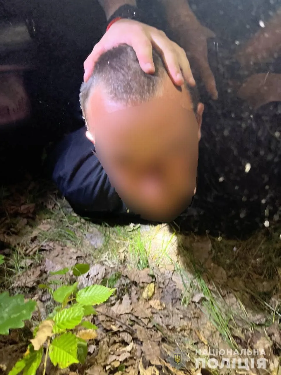     ,   dqxikeidqxiqqeant