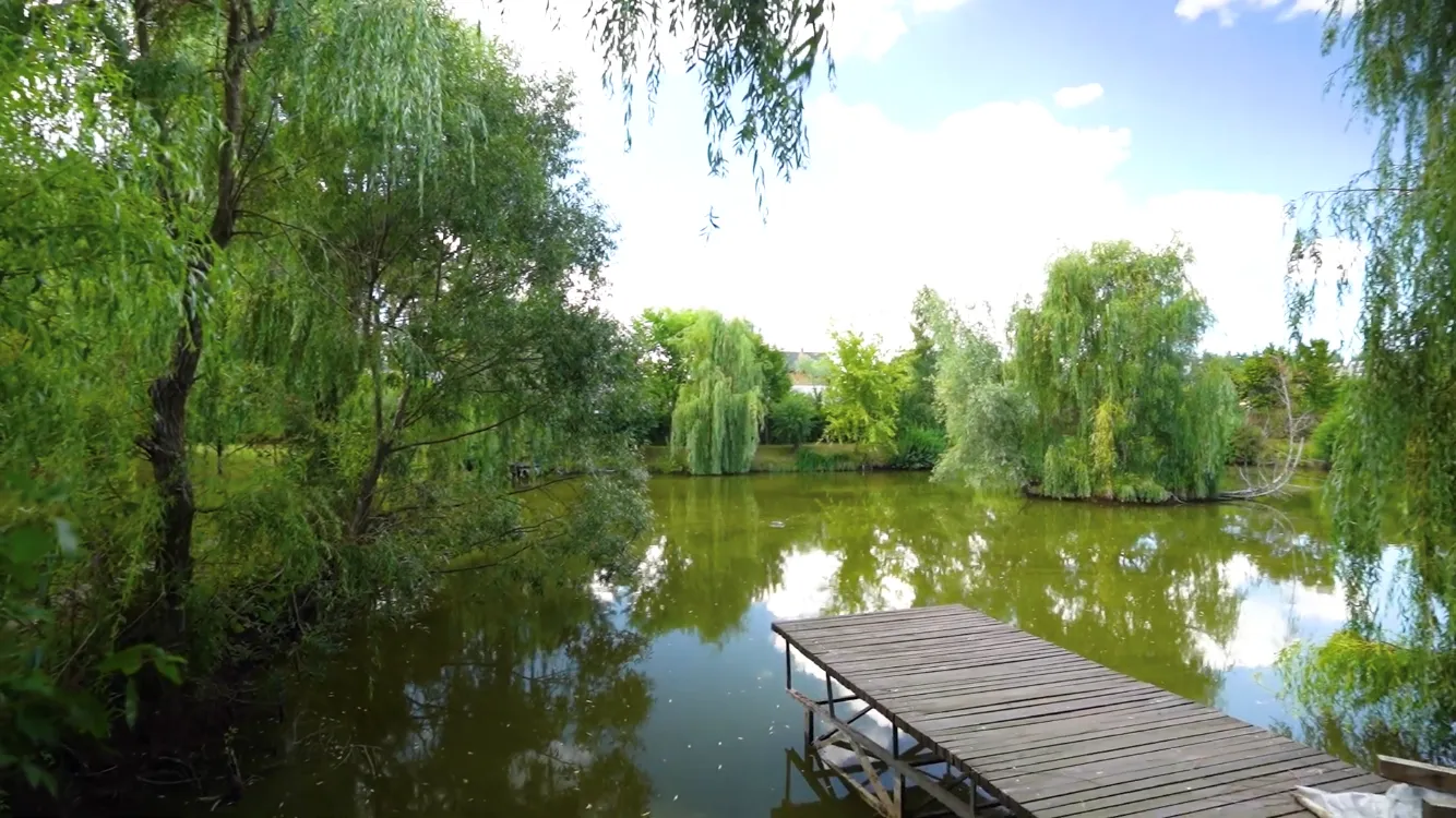 Павло Зібров показав свій розкішний маєток під Києвом площею 1 га. Фото і відео