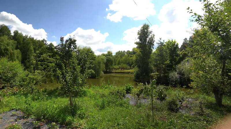 Павло Зібров показав свій розкішний маєток під Києвом площею 1 га. Фото і відео