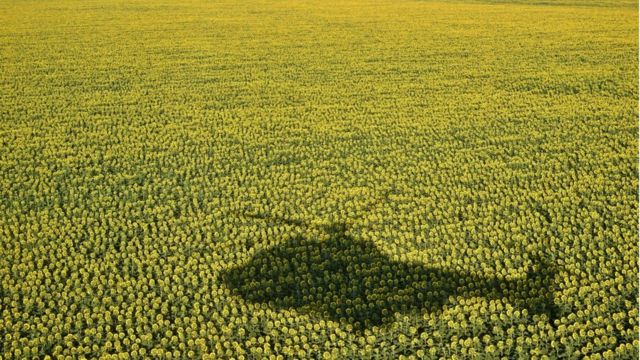 Украина dqxikeidqxitkant