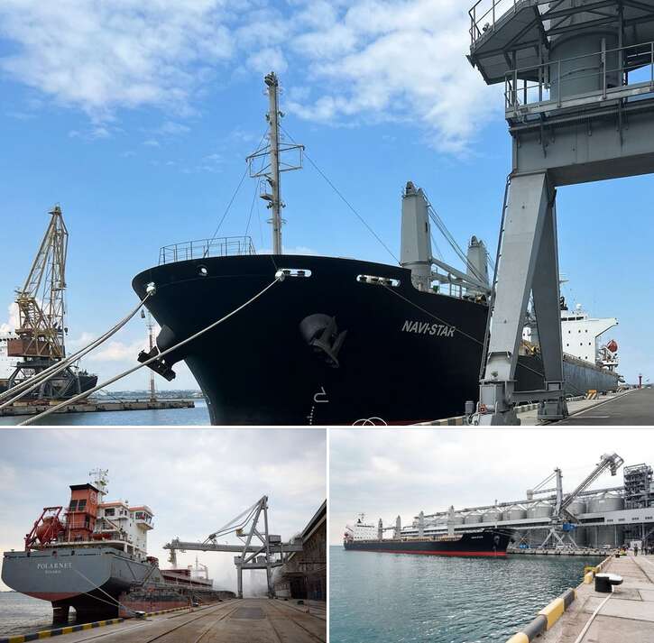 Отправка новых судов с украинским зерном ожидается уже 5 августа dqxikeidqxiqqeant