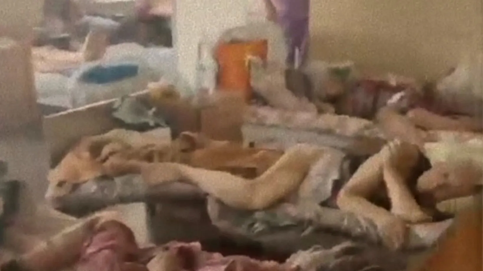 Одна з лікарень Маріуполя dqxikeidqxiqqeant