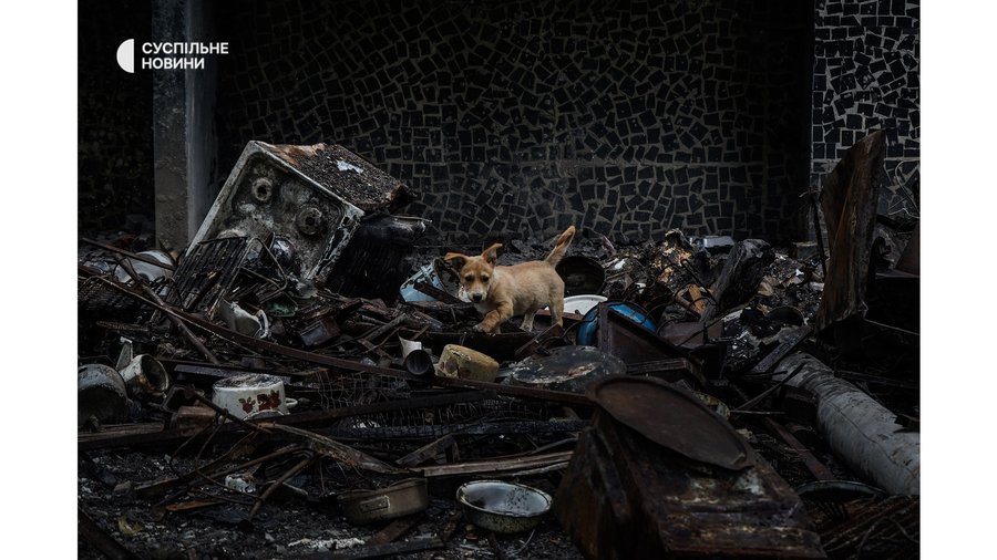 Город, где живут. Репортаж из Харькова на войне