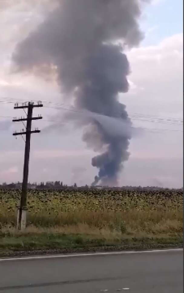 Скриншот с видео / © dqxikeidqxiqxxant