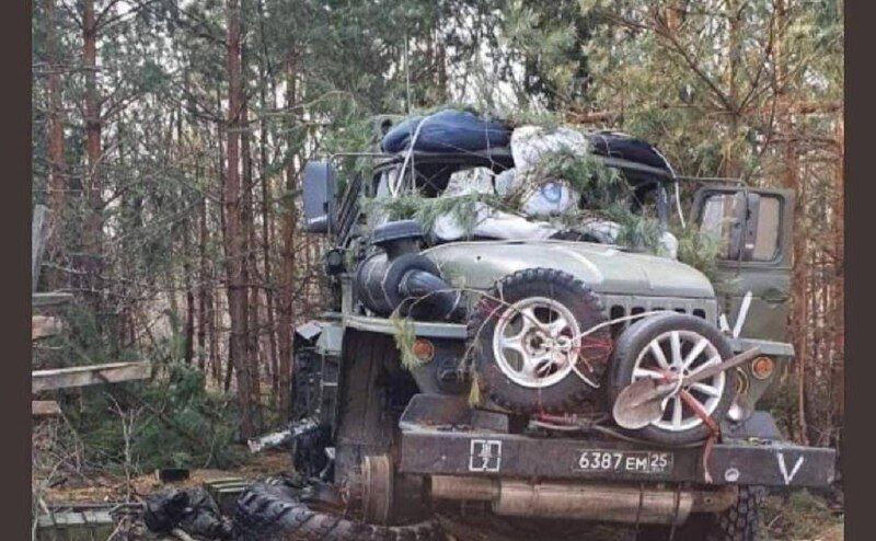      8 ,      dqxikeidqxidant