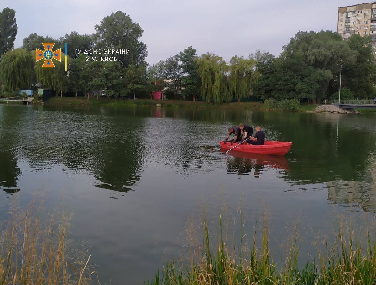       :    dqxikeidqxiqxxant