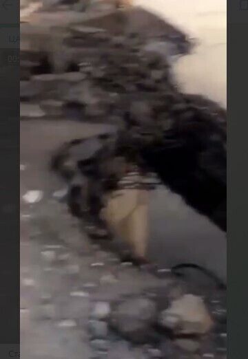 На мосту видно наскрізні дірки. dqxikeidqxitkant