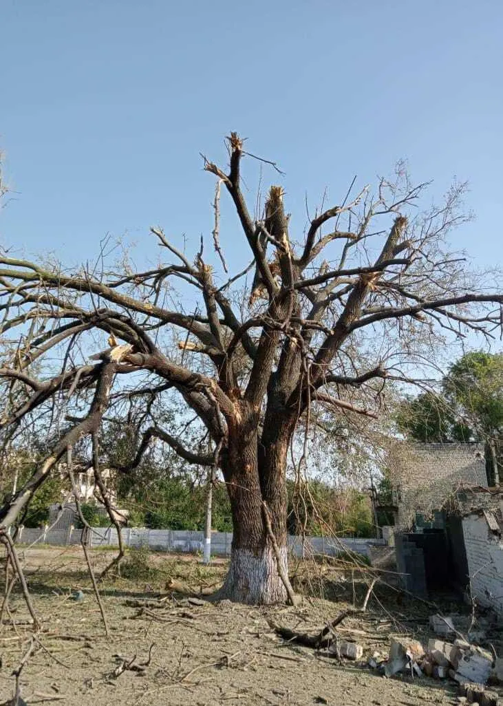 ³        .  dqxikeidqxiqqeant