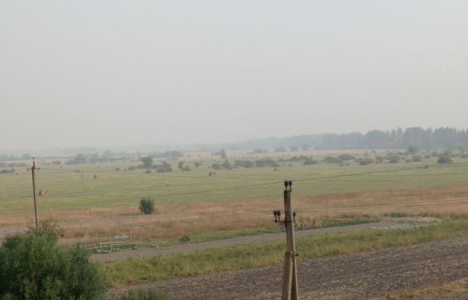       :   dqxikeidqxitkant