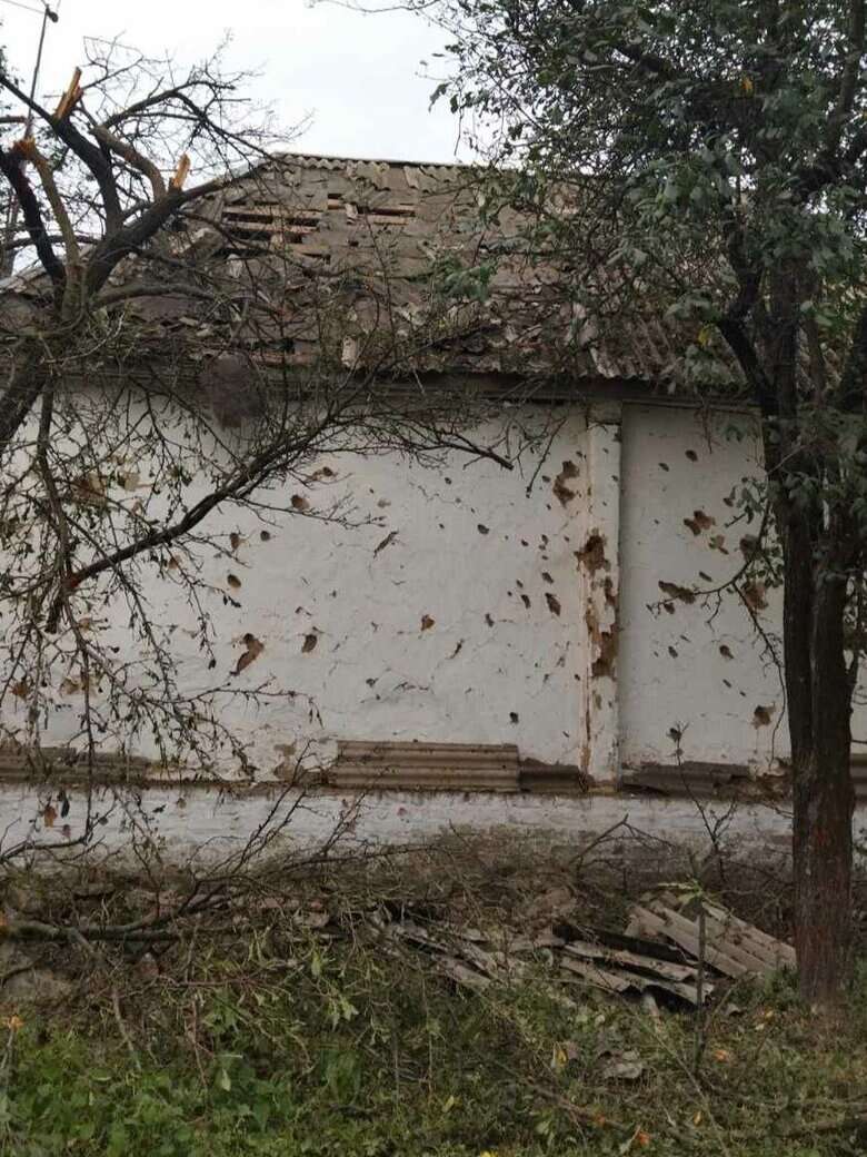         ,  36 , -  01 dqxikeidqxidant