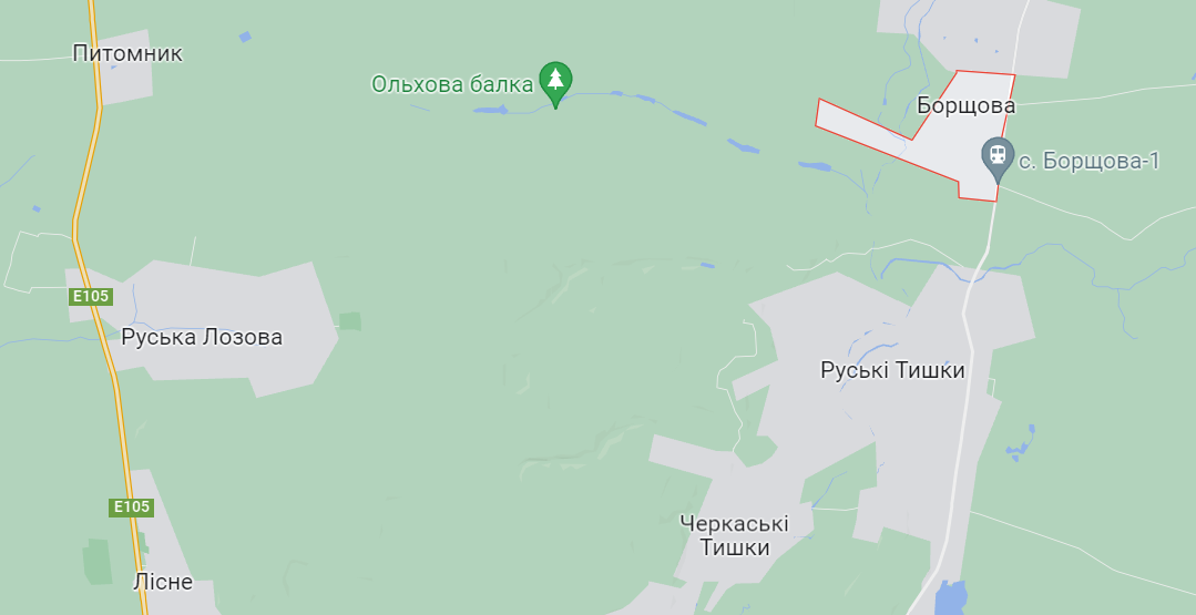 ЗСУ зайшли до Борщової Харківської області dqxikeidqxiqqeant