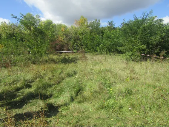 На Житомирщине пропавшую студентку нашли убитой: стало известно подробности