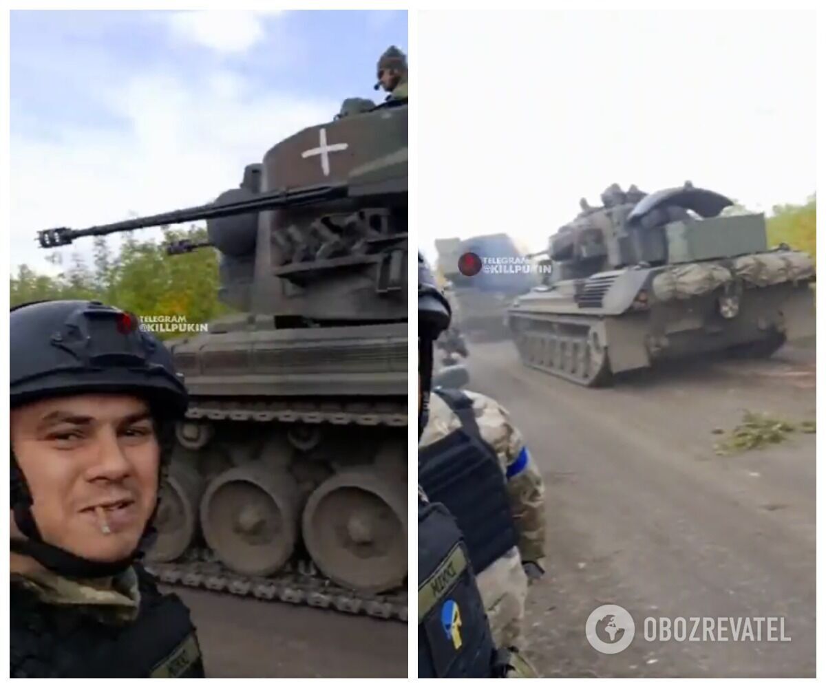 Gepard    dqxikeidqxidant