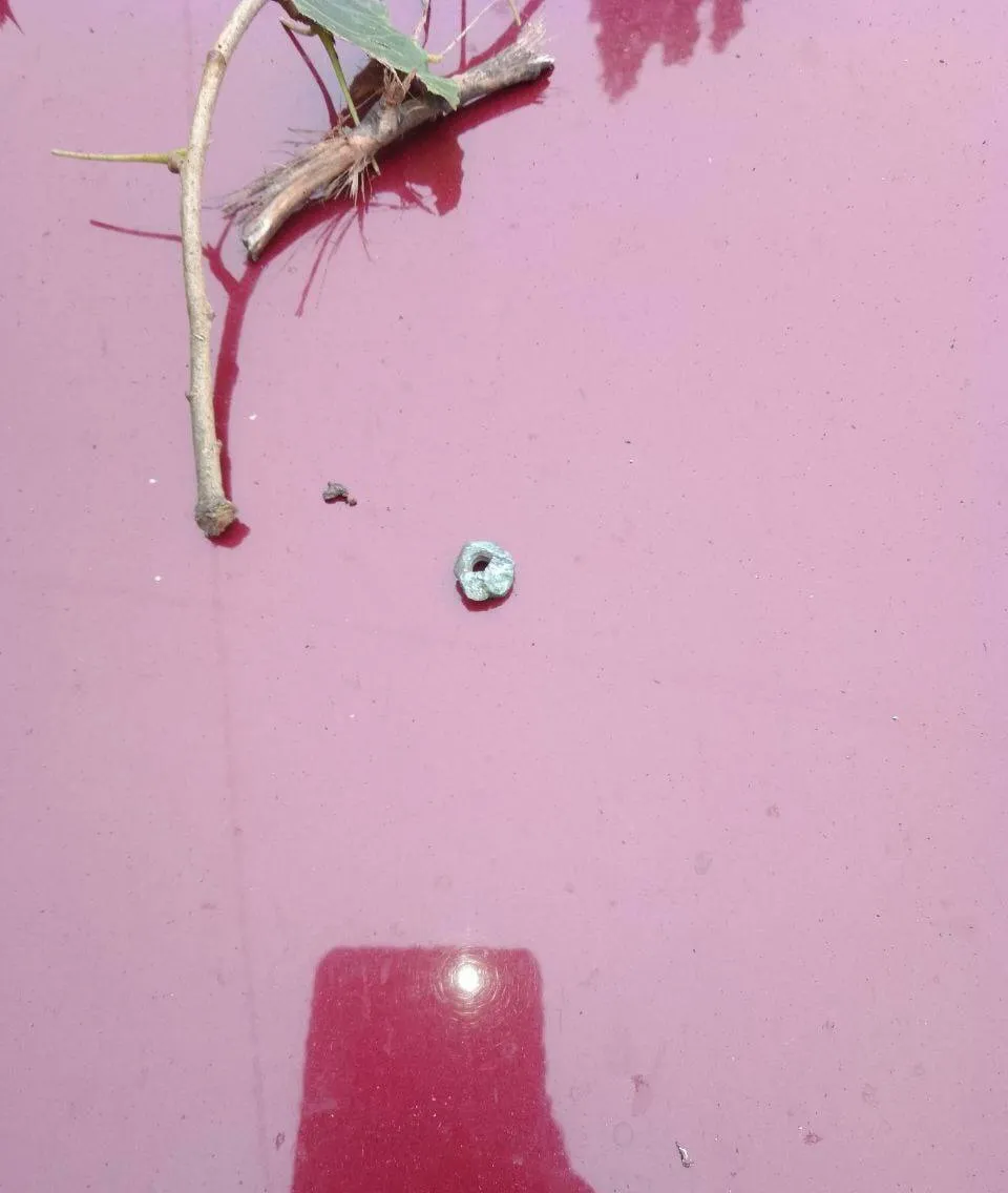 В окупованому Мелітополі підірвали авто з місцевою колаборанткою. Фото dqxikeidqxiqxxant