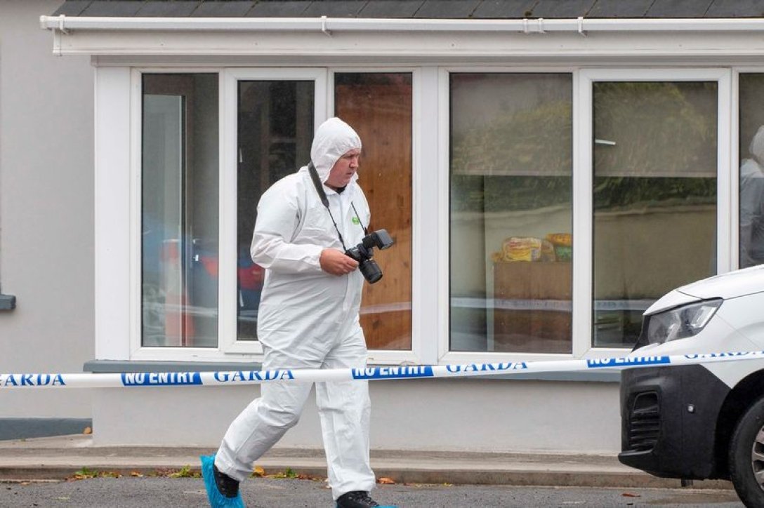   , ,  ,  ,   dqxikeidqxiqqeant