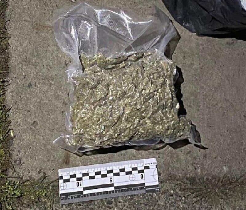 В Киеве у торговца наркотиками изъяли более 2 кг каннабиса. Фото