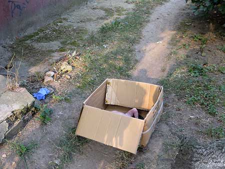  -        dqxikeidqxitkant