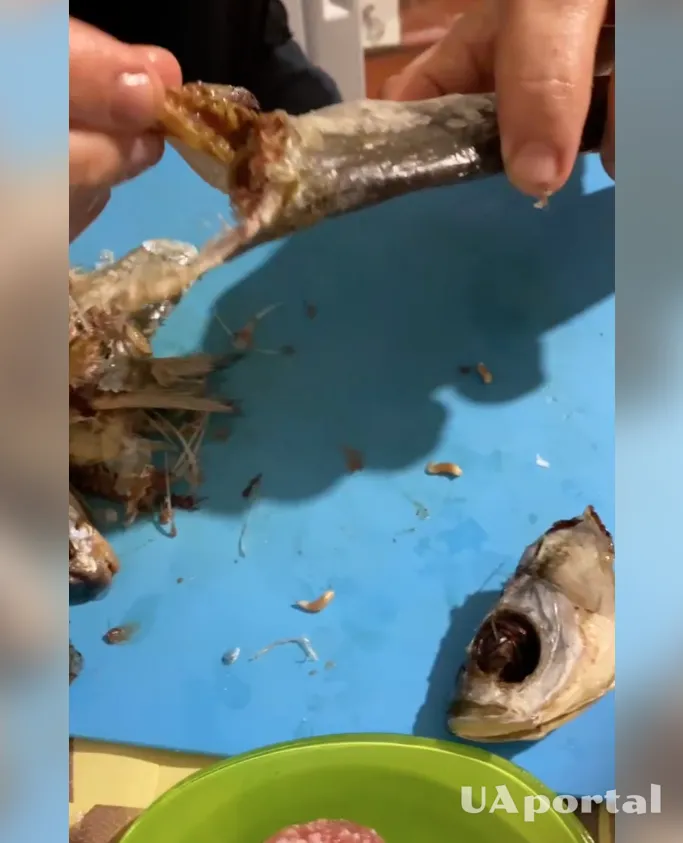 Магазин пива Киев попал в скандал с опарышами в рыбе