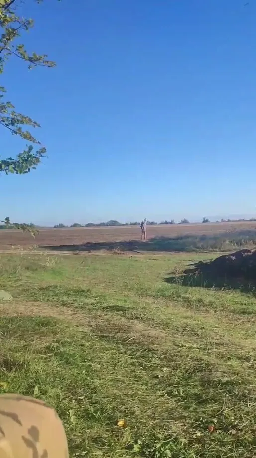         :      dqxikeidqxidant