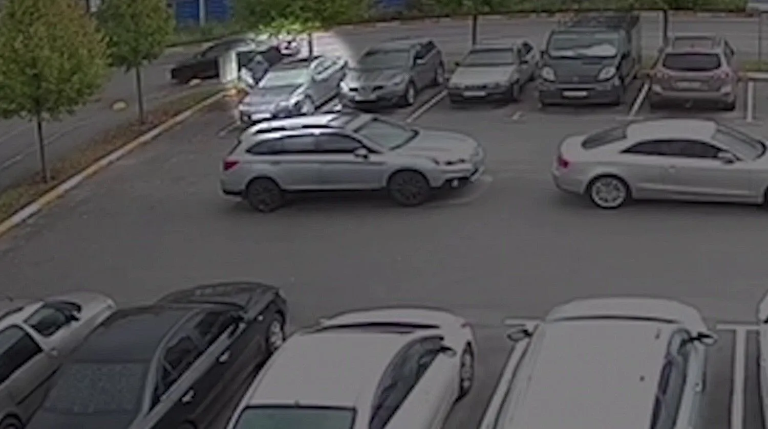 В Киевской области задержали серийных воров с авто: преступление зафиксировала видеокамера dqxikeidqxiqqeant