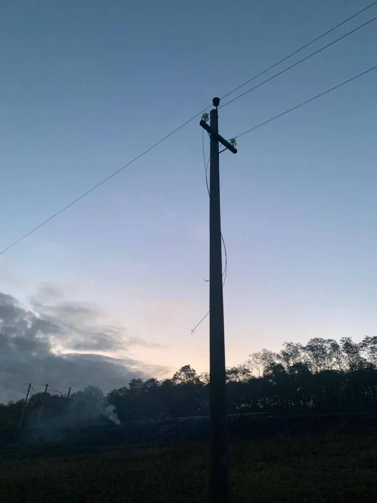 В Белгородской области хлопок