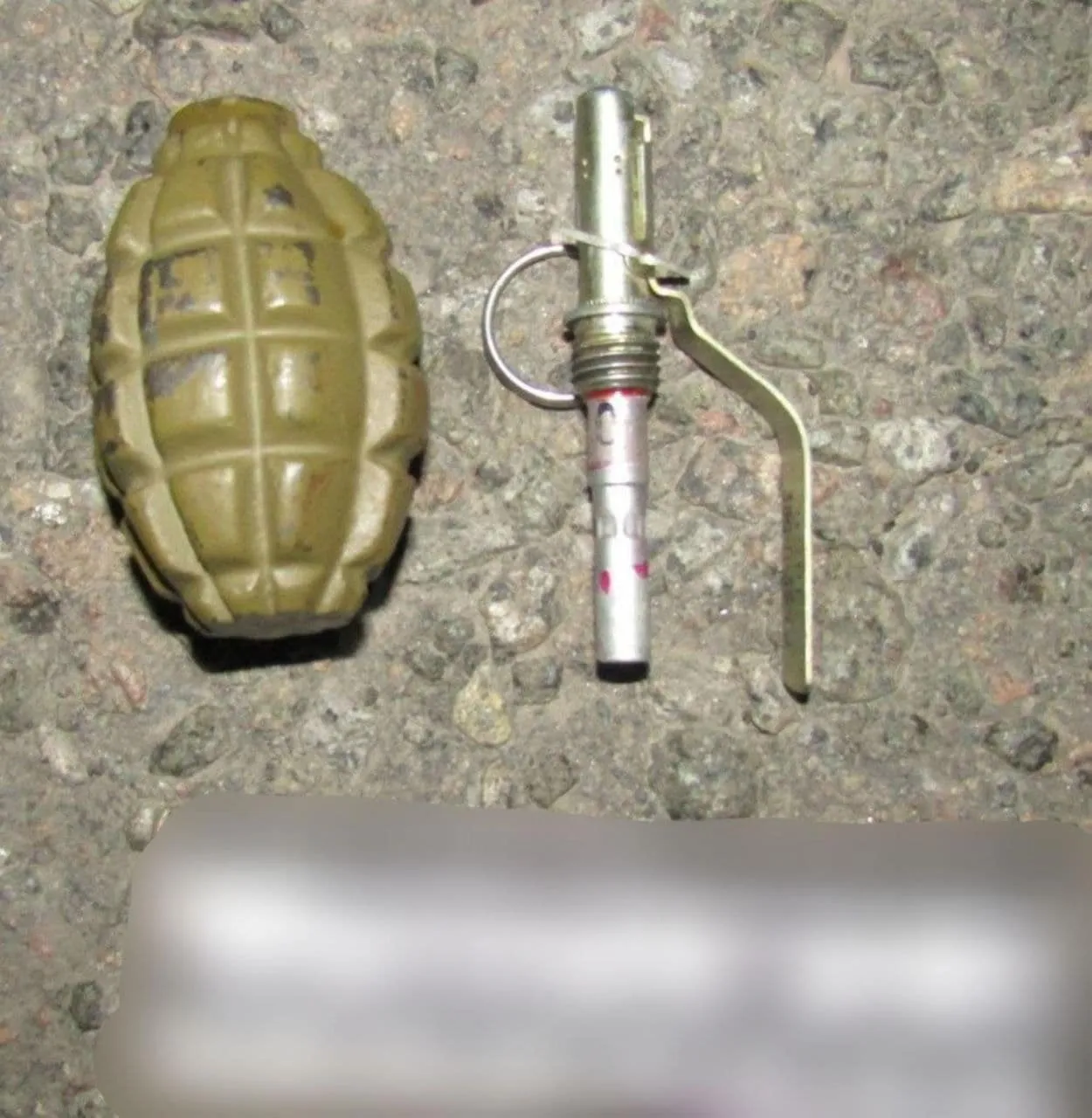 На Київщині чоловік погрожував дружині знайденою в лісі гранатою. Фото dqxikeidqxiqqeant