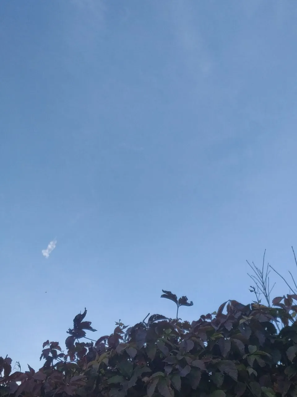 В Белгороде снова ’’бавовна’’: в России сообщили о работе ПВО. Фото